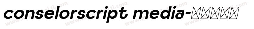 conselorscript media字体转换